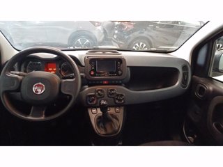 FIAT Panda 1.0 firefly hybrid s&s 70cv 5p.ti