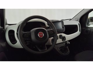 FIAT Pandina Cross 1.0 FireFly Hybrid 70cv S&S
