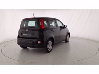FIAT Pandina 1.0 FireFly Hybrid 70cv S&S