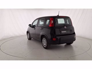 FIAT Pandina 1.0 FireFly Hybrid 70cv S&S