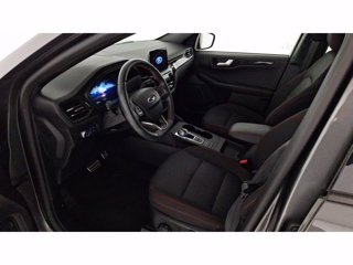 FORD Kuga 1.5 EcoBlue 120cv ST-Line 2WD Auto