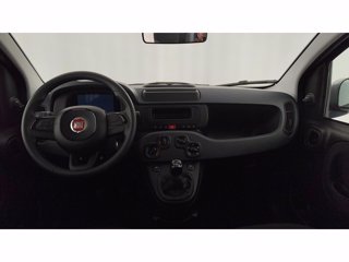 FIAT Pandina 1.0 firefly hybrid Pop s&s 70cv
