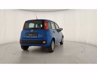 FIAT Pandina 1.0 firefly hybrid Pop s&s 70cv