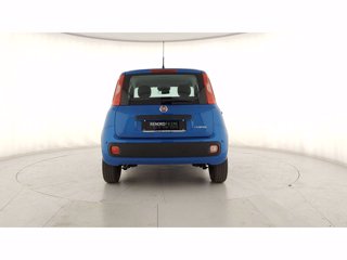FIAT Pandina 1.0 firefly hybrid Pop s&s 70cv