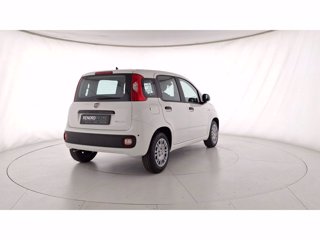 FIAT Pandina 1.0 firefly hybrid Pop s&s 70cv