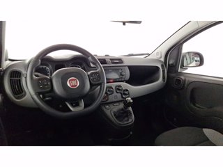FIAT Panda 1.0 FireFly Hybrid 70cv City Life S&S