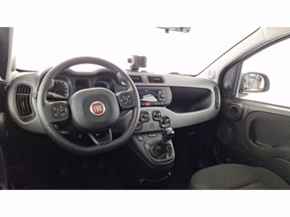 FIAT Panda 1.0 FireFly Hybrid 70cv City Cross S&S