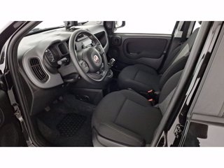 FIAT Panda 1.0 FireFly Hybrid 70cv City Cross S&S