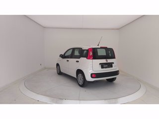 FIAT Panda 1.0 FireFly Hybrid 70cv S&S