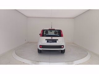 FIAT Panda 1.0 FireFly Hybrid 70cv S&S