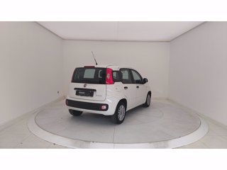 FIAT Panda 1.0 FireFly Hybrid 70cv S&S