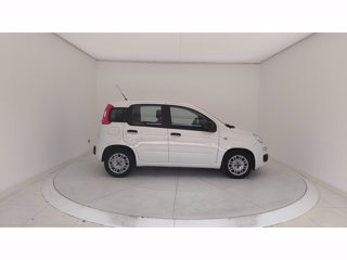FIAT Panda 1.0 FireFly Hybrid 70cv S&S