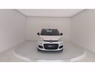 FIAT Panda 1.0 FireFly Hybrid 70cv S&S
