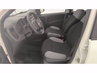 FIAT Panda 1.0 FireFly Hybrid 70cv S&S