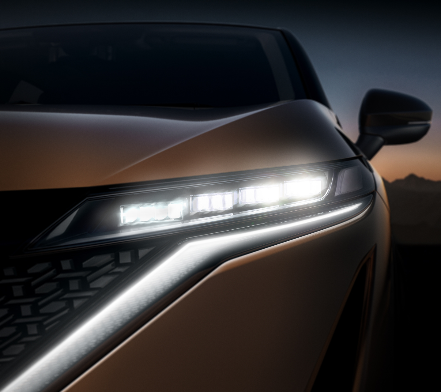 Nissan Ariya Sezione 2